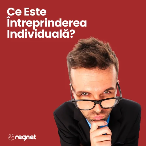 Ce este Întreprinderea Individuală (ÎI) și pentru cine e potrivită 6