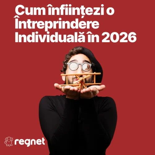 Cum înființezi o Întreprindere Individuală în 2026 7