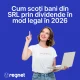 Cum scoți bani din SRL prin dividende în mod legal în 2026
